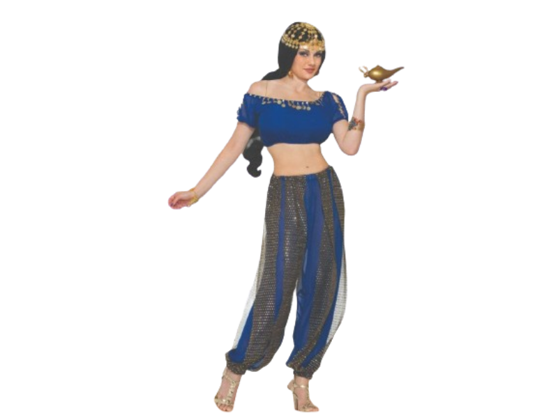 Pantalon Harem Dentelle Pantalon Danse Orientale Astage Femme - Dentelle Fente Côté | Taille Élastique 66-95cm Taille Ajustable 66-95cm Pantalon Harem Dentelle Pantalon Danse Orientale Astage Femme - Dentelle Fente Côté | Taille Élastique 66-95cm Taille Ajustable 66-95cm