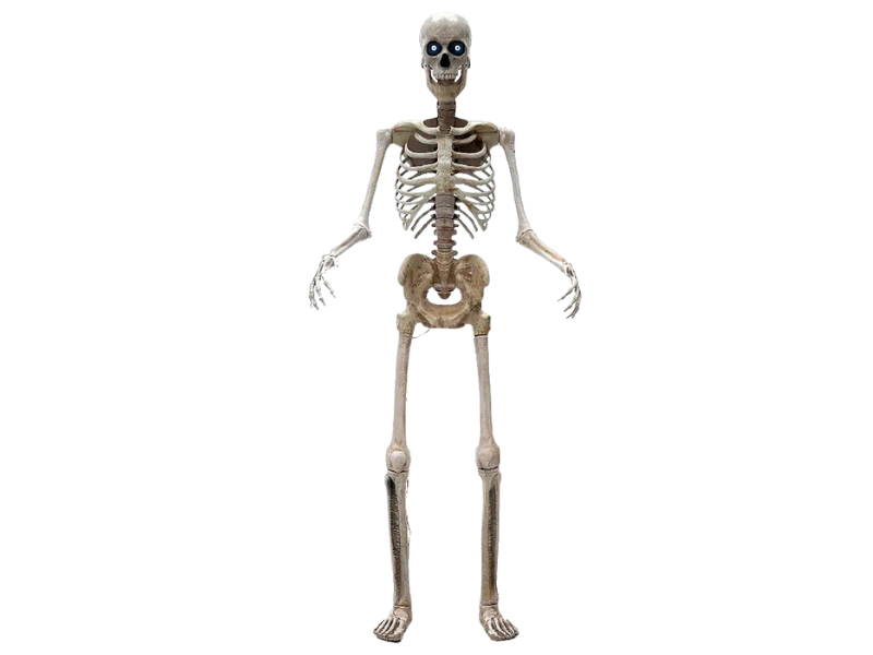 Animatrónico Esqueleto 240Cm