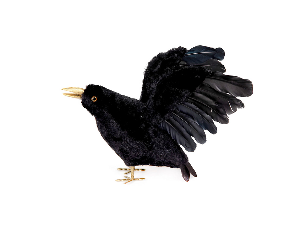 Cuervo Negro 25Cm