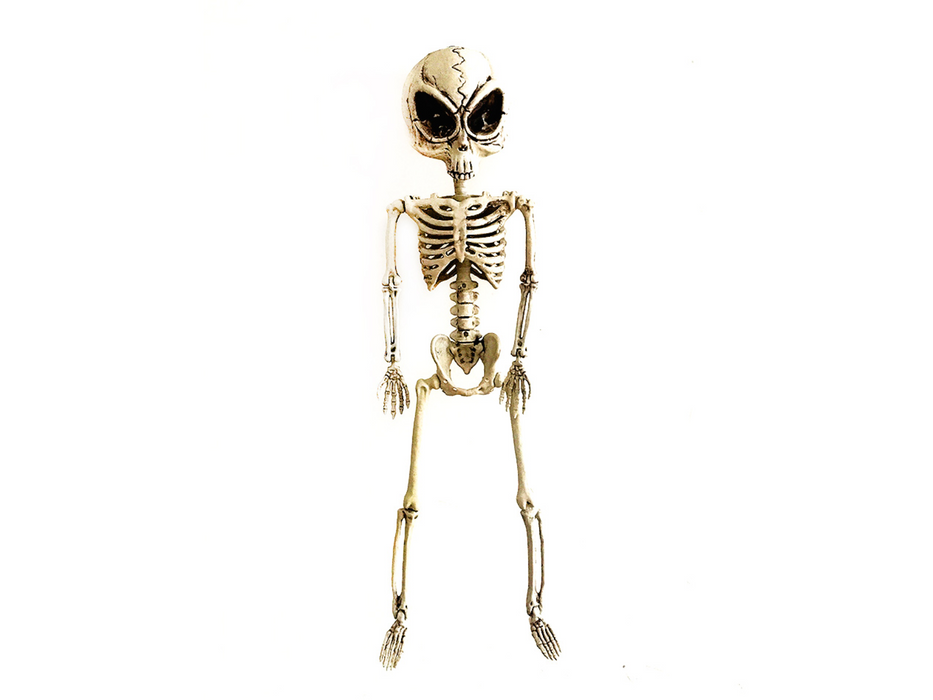 Esqueleto Alien Colgante 62Cm