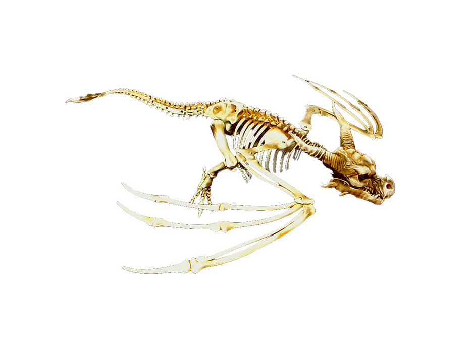 Esqueleto Dragon Colgante 90Cm