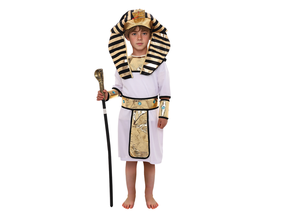 Disfraz Faraon Niño