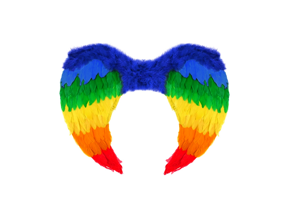 Alas Angel Pluma Arcoiris 60X45Cm