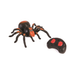 Araña negra con detalles naranjos y control remoto negro con botones rojos