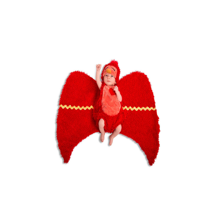 Bebé con disfraz de pajarito rojo: body de peluche, gorro con pico y manta con forma de alas rojas extendidas