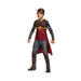 Disfraz de Ron Weasley Quidditch para niño, traje rojo y gris con capa y casco
