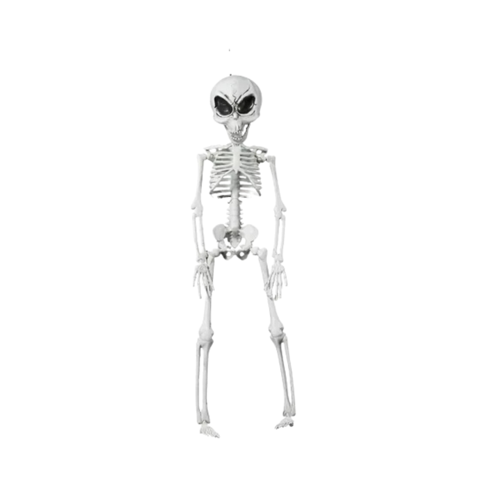Esqueleto alienígena blanco de 42 cm con cráneo de extraterrestre y grandes ojos negros