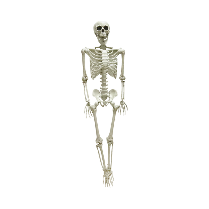 Esqueleto humano de cuerpo completo de 153 cm color hueso