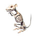 Esqueleto de ratón decorativo color hueso para Halloween