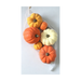 Bolsa de Calabazas Decorativas decoración de Halloween