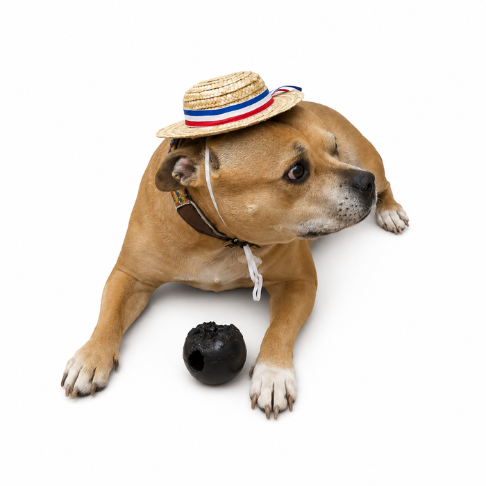 Chupalla para Perro