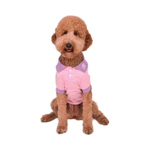 Perro con polera tipo polo rosada con cuello y ribetes lila