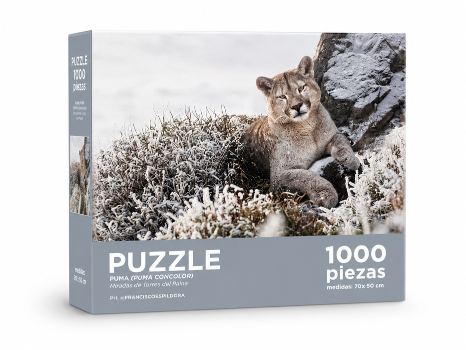 Puzzle 1000 Piezas Puma