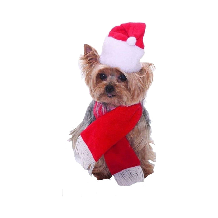 Perro pequeño con gorro de Viejo Pascuero y bufanda roja con flecos blancos