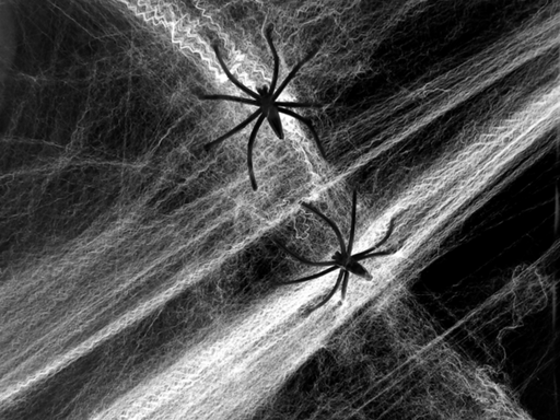 Tela araña blanca de Halloween estirada con arañas negras