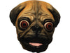 Mascara Perro Pug 2 - Ghoulish - Carnaval Online