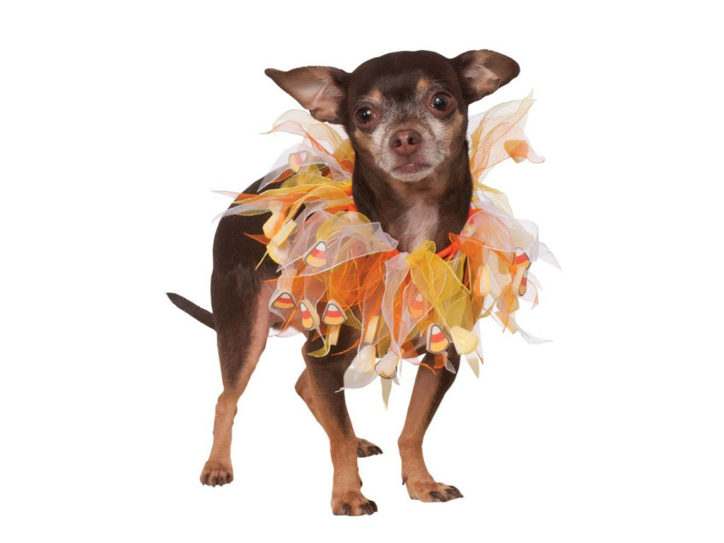 Collar Mascota Candy Corn M-L