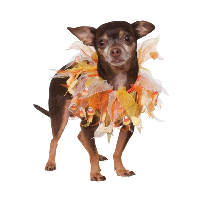 Perro con collar de Halloween de tul amarillo y naranjo con dulces candy corn