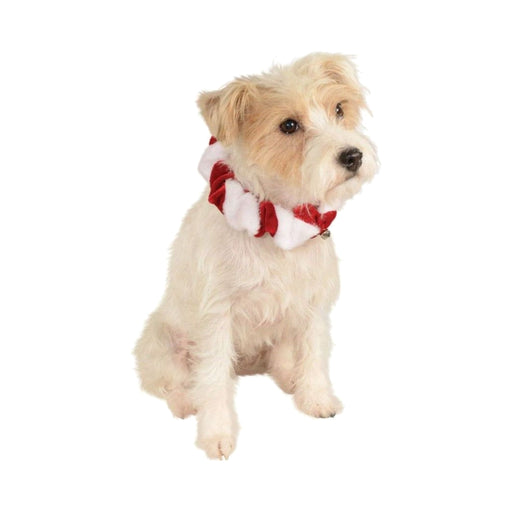 Perro con collar navideño esponjoso a rayas rojas y blancas