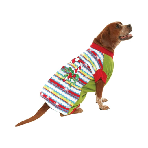 Perro grande con chaleco navideño a rayas multicolor y bastón de dulce en la espalda