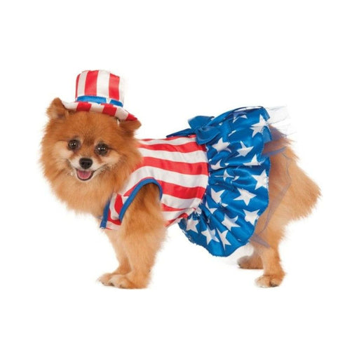 Perro con disfraz patriota de Estados Unidos, vestido de rayas y falda azul con estrellas, y sombrero de copa