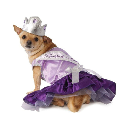 Perro con disfraz de princesa, vestido morado de dos tonos con banda y corona plateada