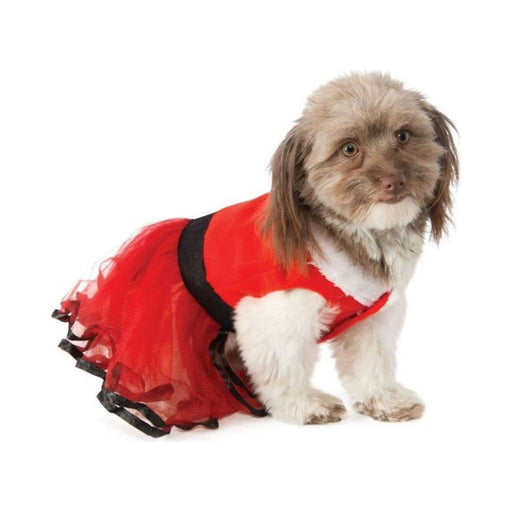 Perro con disfraz de señora Santa, vestido rojo con falda de tul, cinturón negro y cuello blanco