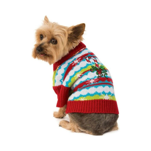 Perro con suéter navideño de franjas de colores con bastón de dulce en la espalda