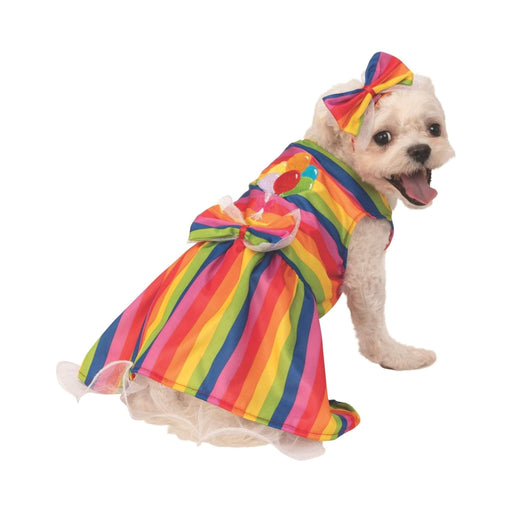 Perro con disfraz de vestido a rayas arcoíris con moño, globos bordados y cintillo con lazo