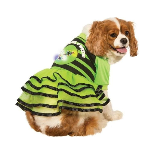 Perro con vestido de Halloween verde y negro a rayas, falda de tul y parche con luz LED